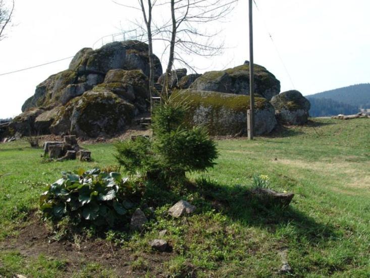 Chata Cert Josefŭv Dŭl Esterno foto